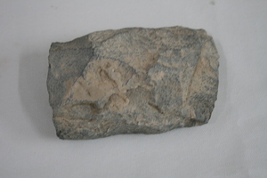 1229          石器
一般文物    新石器时代
长13.7、宽8.8、高5.0、重1.0