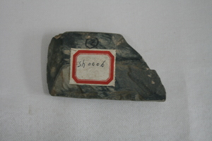 1232          石斧
一般文物     新石器时代
长13.6、宽5.4、高2.2、重0.2