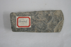 1233        石斧
一般文物   新石器时代
长17.1、宽6.0、高3.8、重0.62