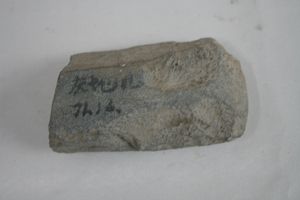 1235           石斧
一般文物     新石器时代
长10.5、宽7.6、高2.1、重0.35