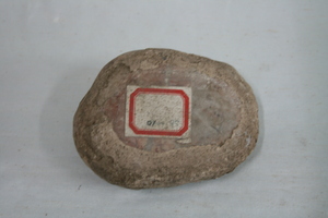 0246           磨光器
一般文物     新石器时代
长20.5、宽8.3、高4.0、重0.5