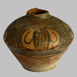 水虫纹彩陶壶 &nbsp;&nbsp;&nbsp;马家窑文化